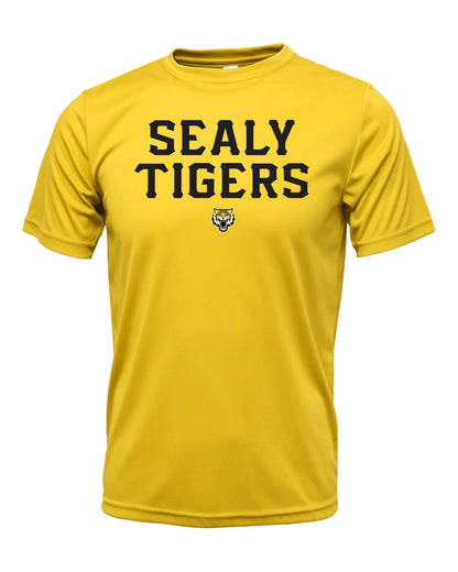 Performance - Sealy Tigers